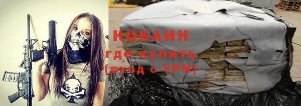 индика Сосновый Бор
