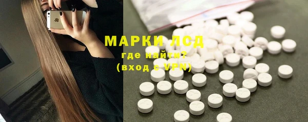 индика Сосновый Бор