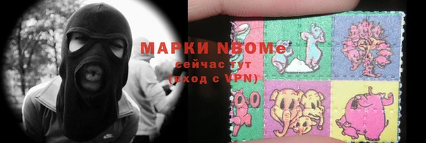 индика Сосновый Бор