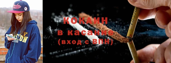 индика Сосновый Бор