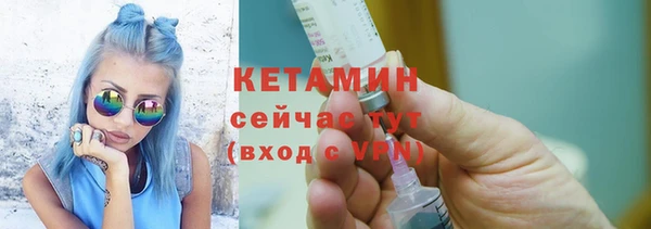 индика Сосновый Бор