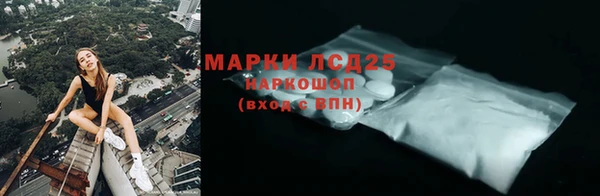 индика Сосновый Бор
