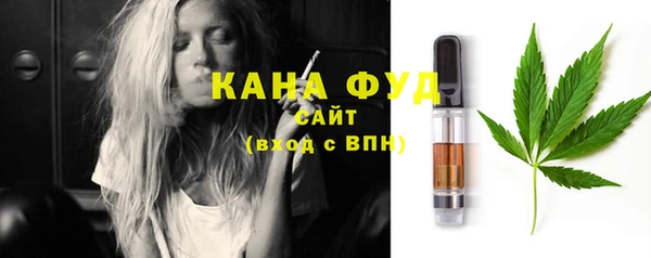индика Сосновый Бор
