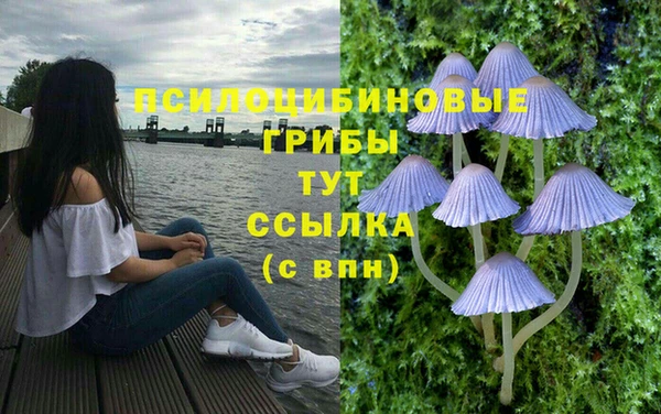 альфа пвп Сосновка