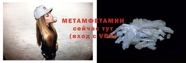 индика Сосновый Бор