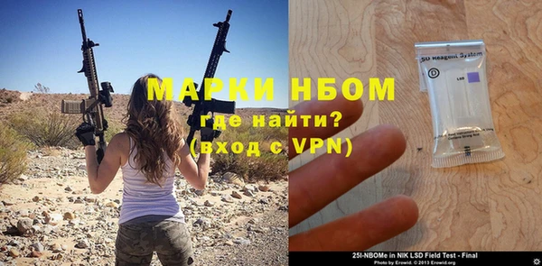 индика Сосновый Бор