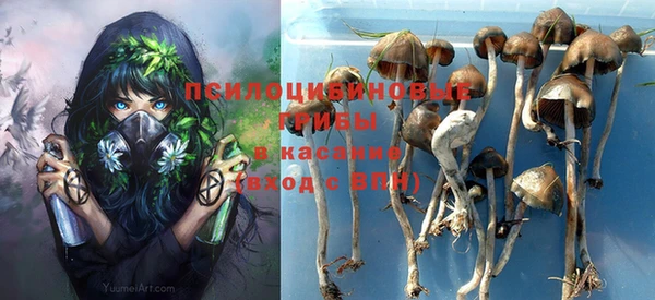 мяу мяу мука Зеленодольск