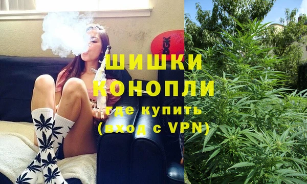 индика Сосновый Бор
