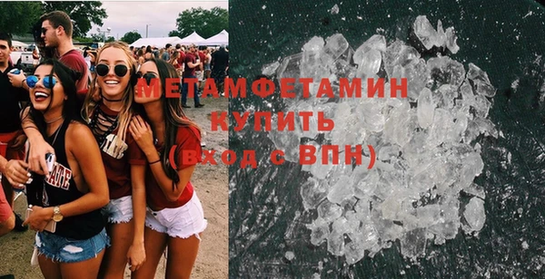 индика Сосновый Бор