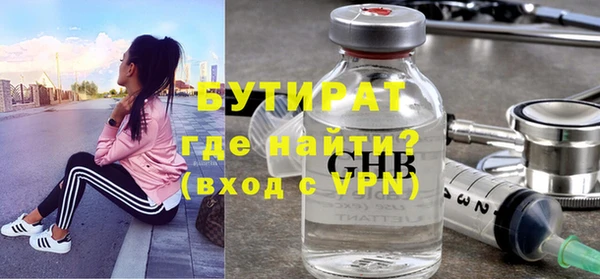 индика Сосновый Бор