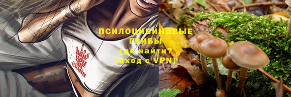 альфа пвп Сосновка