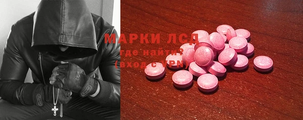 индика Сосновый Бор